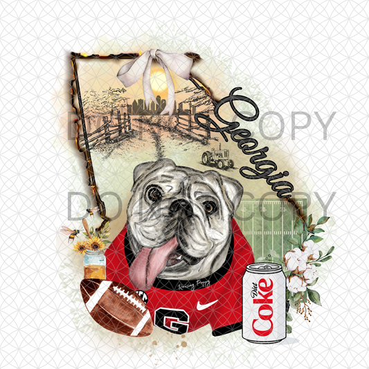 GA Rustic State Diet Coke Digital Design