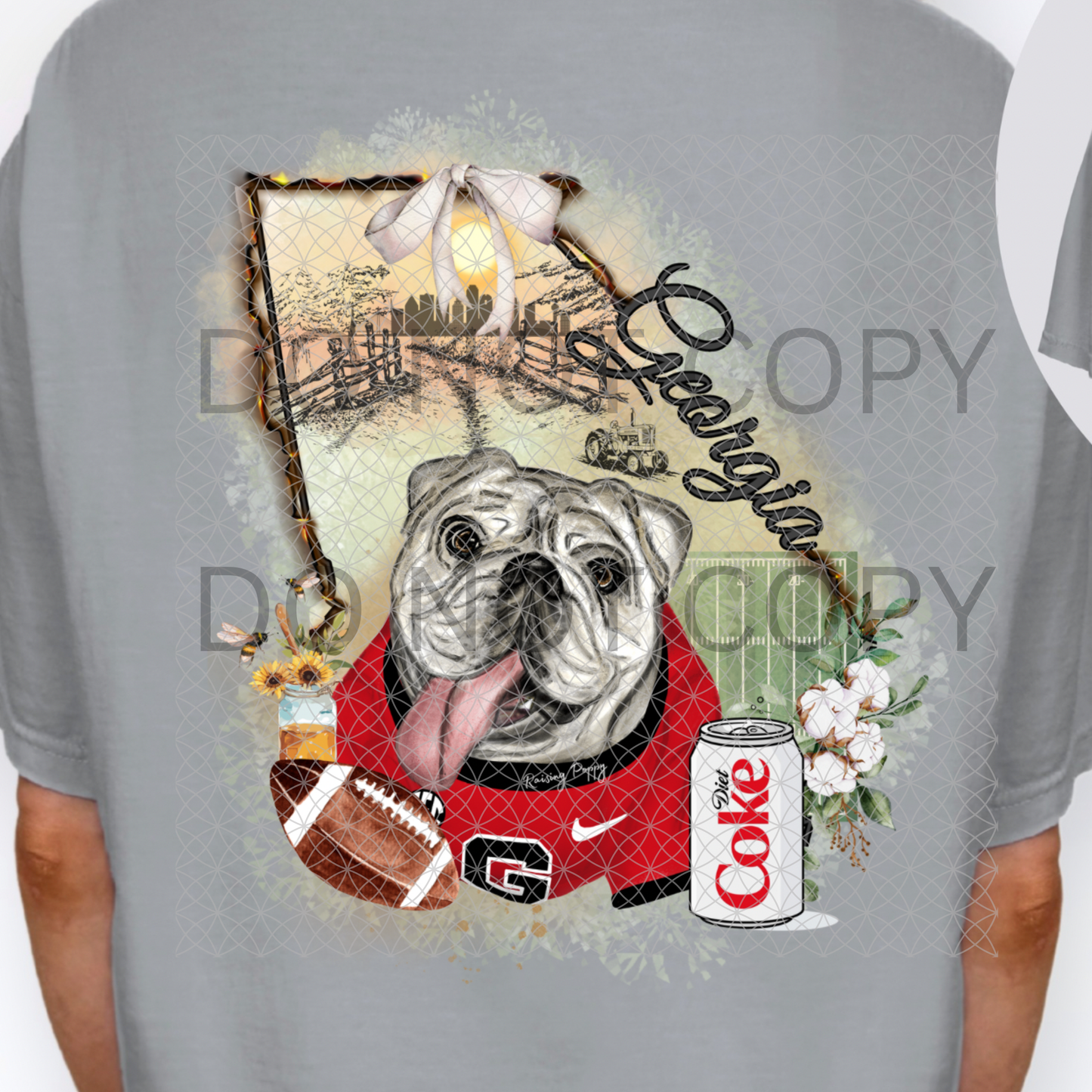 GA Rustic State Diet Coke Digital Design
